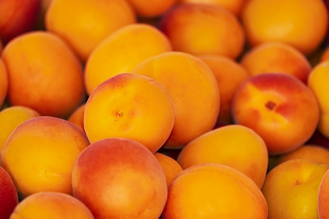 sladké meruňky